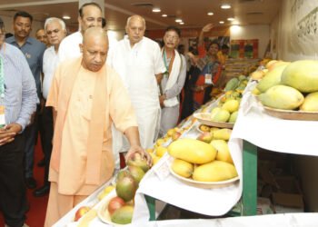 यूपी के आम की विदेशों में बढ़ी मांग: शाही