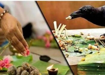पितृ पक्ष के दिनों में इन नियमों के पालन से प्रत्येक व्यक्ति बना सकता है अपने जीवन को सफल