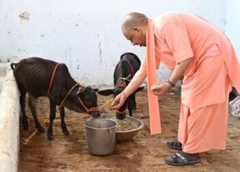 आखिर किससे बोले सीएम योगी, अरे रे रे.. तुम्हें माई की याद आ रही है ना, पढ़ें पूरी खबर