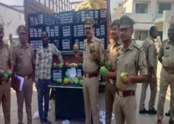 बहराइच के नानपारा में पकड़ा गया एक डीसीएम चीनी आम, चीन से हो रही थी तस्करी