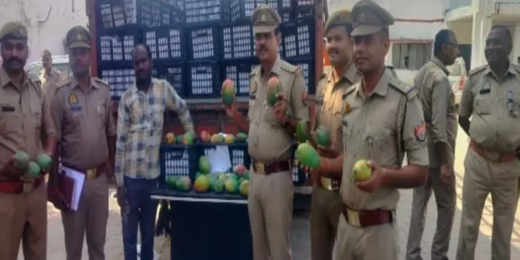 पकड़े गए आम के साथ बहराइच पुलिस टीम
