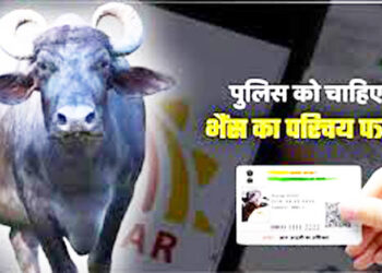 भैंस का आधार कार्ड दो तब दर्ज होगी एफआईआर , हरदोई पुलिस ने किया गजब कारनामा