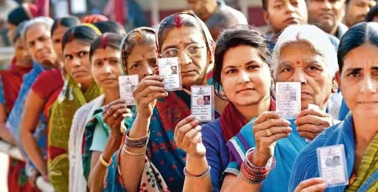 नगर निकाय चुनाव