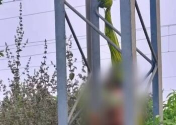 मुसाफिरखाना रेलवे स्टेशन के पास बिजली के खम्भे से लटका मिला अज्ञात महिला का शव