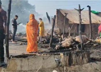 मजदूर के घर में लगी भीषण आग, जिन्दा जली दो भैंसे और बकरी