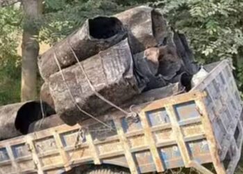 तेज रफ्तार डंपर की टक्कर से गड्ढे में गिरी ट्रॉली, 2 मजदूरों की मौत