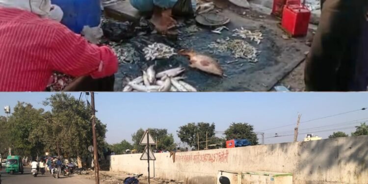 लखनऊ-सीतापुर हाईवे किनारे ताड़ीखाना में मछली मंडी हटने व पूर्व में लगने की तस्वीरें