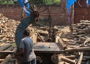 एक लाइसेंस पर चलती मिलीं दो आरा मशीनें,वन विभाग ने किया सीज
