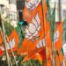 केजरीवाल से लड़ेगी भाजपा की हरियाणा सेना, खट्टर, सैनी समेत 16 नेताओं की फौज मैदान में