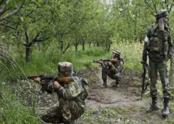 हिड़मा की बटालियन पर फोर्स का बड़ा हमला, दर्जनभर से अधिक नक्सली ढेर