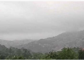 भीषण आंधी-तूफान से हिमाचल में तबाही, बिजली और पानी की आपूर्ति प्रभावित