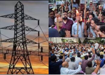 ऊर्जा निगमों के निजीकरण पर उपभोक्ता परिषद ने सरकार से पूछे पांच सवाल