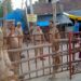 लोधेश्वर महादेवा में सावन मेले की तैयारियों का अधिकारियों ने लिया जायजा