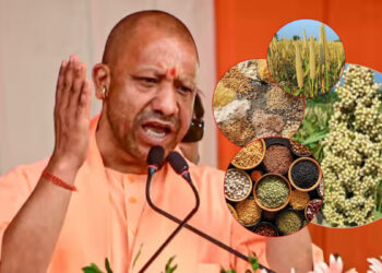 किसानो को प्रोत्साहित करने में जुटी योगी सरकार, अतिरिक्त लाभ के लिए बाजरा के उत्पादन को मिलेगा बढ़ावा 