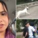 लखनऊ में बाइक सवारों ने गले में रस्सी डालकर कुत्ते को दौड़ाया, वायरल वीडियो के आधार पर जांच