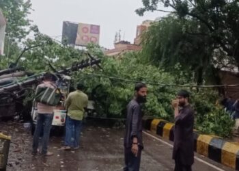 यूपी में तूफानी बारिश का कहर, पेड़-पोल गिरने से आधे शहर की बिजली गुल 