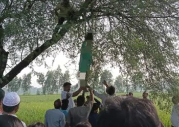 बेटे से विवाद के बाद कोटेदार ने लगाई फांसी