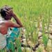 भूमि विवाद को लेकर धमकीबाजी, बुजुर्ग किसान ने थाने में लगाई गुहार