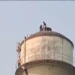 रेलवे कॉलोनी की पानी की टंकी पर चढ़ा युवक, पुलिस ने दिखाया संयम और उतारा सकुशल