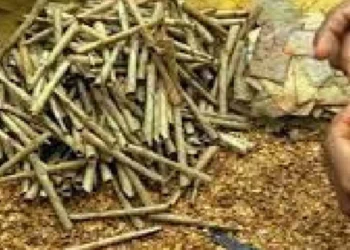 ब्रांडेड बीड़ी का नकली सामान बेचने पर दो थोक विक्रेताओं पर रिपोर्ट