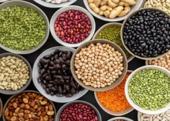 15 दिनों में दालों के दामों में बड़ी गिरावट के आसार