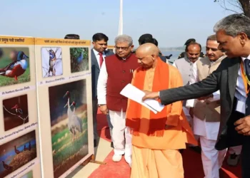 वन्यजीव संवेदनशील क्षेत्रों में विकास कार्य होंगे वैज्ञानिक और पर्यावरण-अनुकूल: सीएम योगी