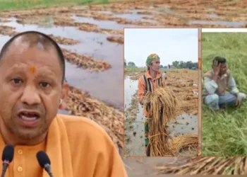बेमौसम बारिश से फसल नुकसान पर सख्त हुए योगी आदित्यनाथ