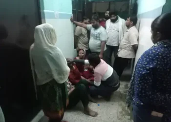 सीतापुर के सिधौली कस्बे में पेड़ गिरने से महिला की मौत, दो अन्य महिलाएं घायल