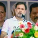 राहुल गांधी की कथित दोहरी नागरिकता मामले की सुनवाई टली