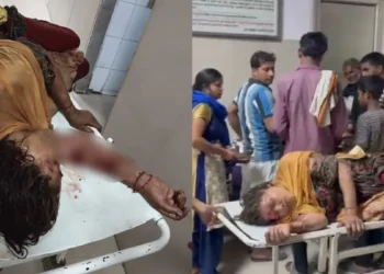 रॉटविलर कुत्तों का आतंक: घर में घुसकर 55 वर्षीय महिला को 10 मिनट तक नोचा, हालत नाजुक