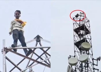 प्रेमिका से शादी की जिद: मोबाइल टावर पर चढ़ा सिरफिरा आशिक