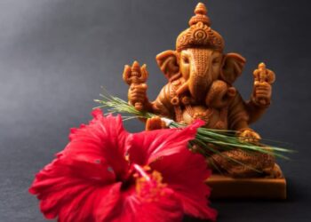 बुधवार को भगवान गणेश को चढ़ाएं ये लाल फूल; करियर और बिजनेस में होगी चौगुनी तरक्की