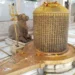 सावन 2026: 23 साल बाद बन रहा है दुर्लभ महासंयोग, एक ही दिन नाग पंचमी और सोमवार