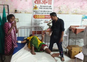 महराजगंज में अनियंत्रित होकर पलटा महिला मजदूरों से भरा टेंपो, आधा दर्जन से अधिक घायल