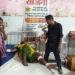 महराजगंज में अनियंत्रित होकर पलटा महिला मजदूरों से भरा टेंपो, आधा दर्जन से अधिक घायल