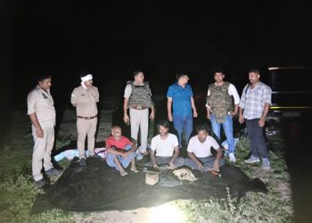 गोवध की सूचना पर पुलिस का छापा, दो गिरफ्तार