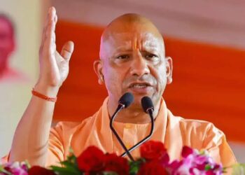 ‘उन्हें जिन्ना पसंद, हमें गन्ना पसंद’: बिजनौर में विपक्ष पर बरसे सीएम योगी