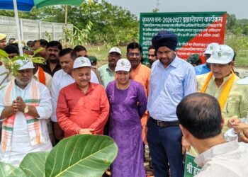 ‘एक पेड़ माँ के नाम’ महाअभियान: सुलतानपुर में मंत्री, डीएम और एसपी समेत हजारों लोगों ने किया पौधरोपण